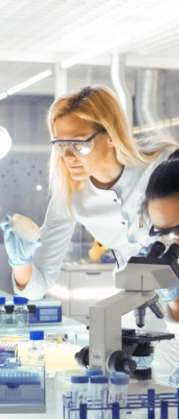 Team af medicinske forskere arbejder på udvikling af ny medicin