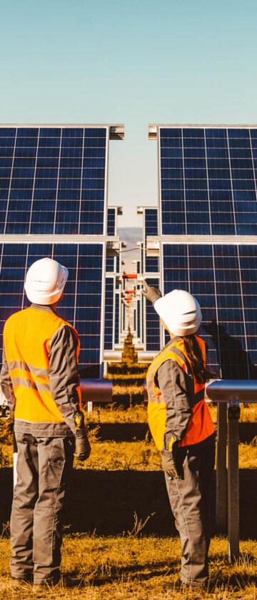 Solar power plant with rows of solar panels at sunset
