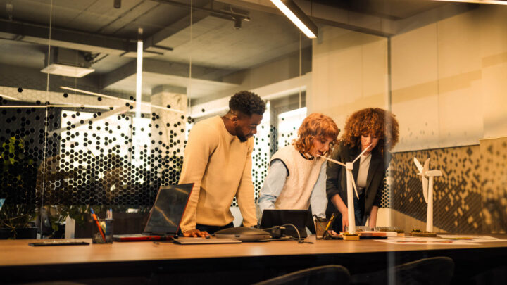 IT consultants working together on the energy project.